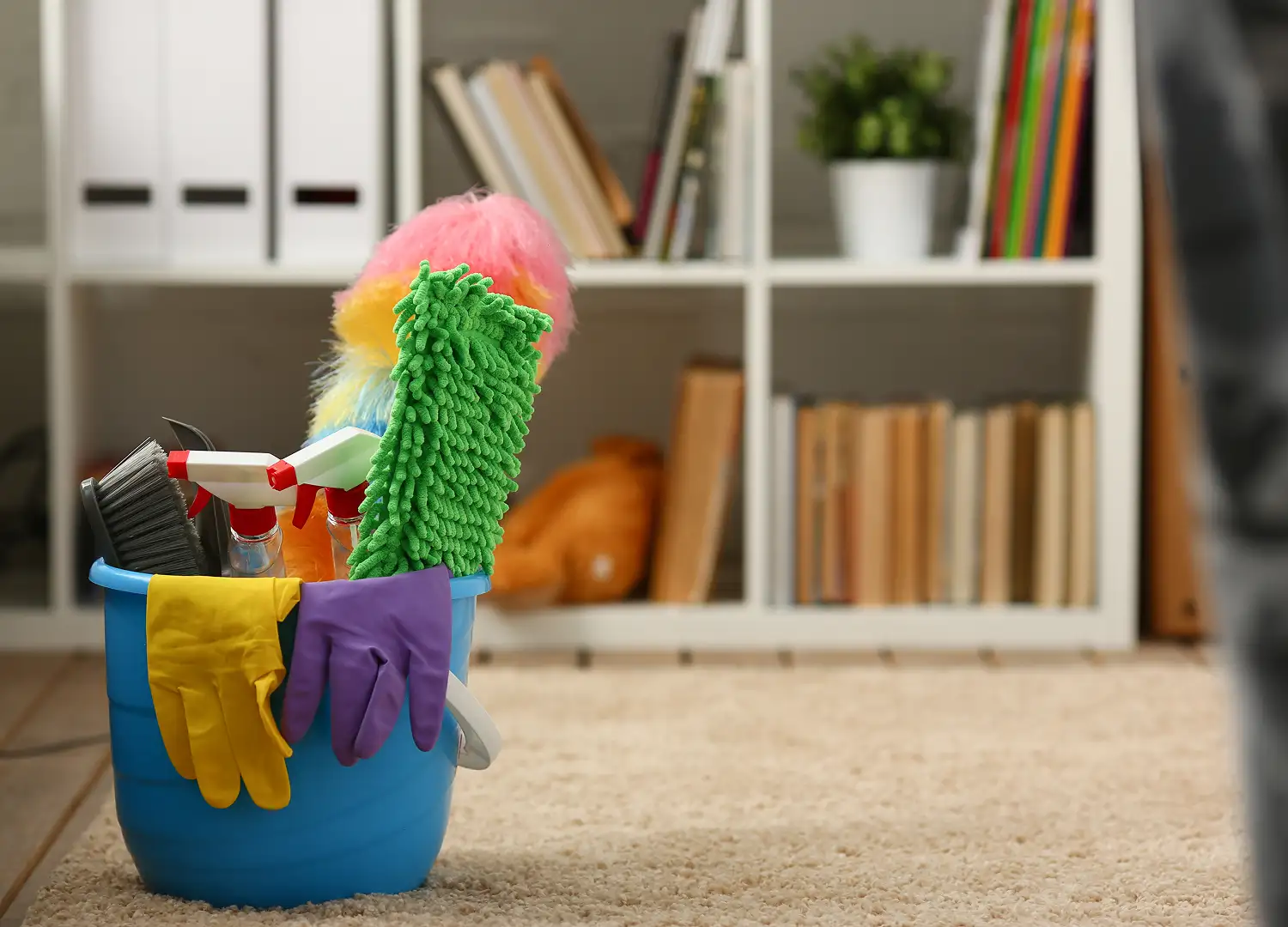 Home Improvement Services