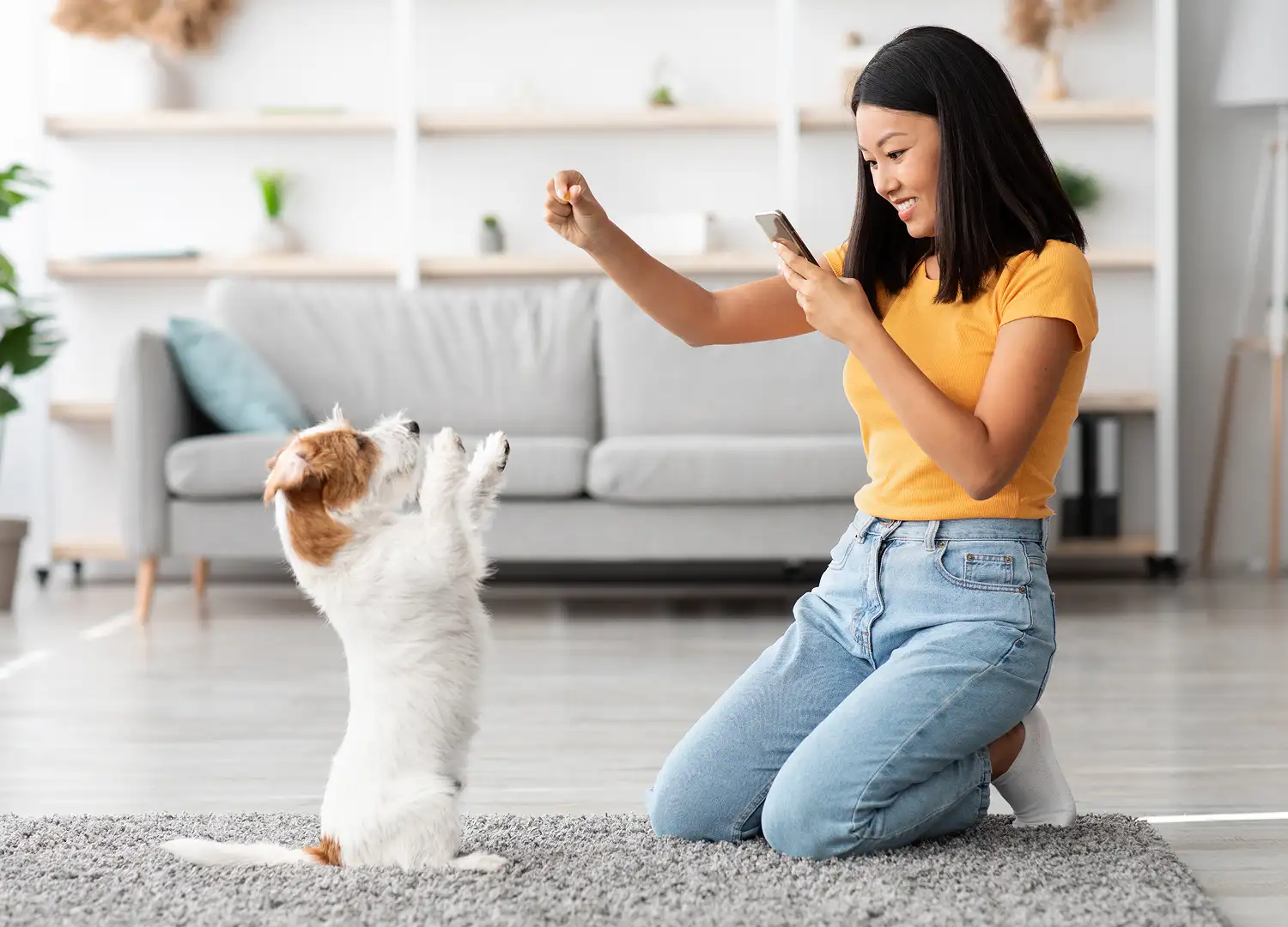 Pets and Pet Care