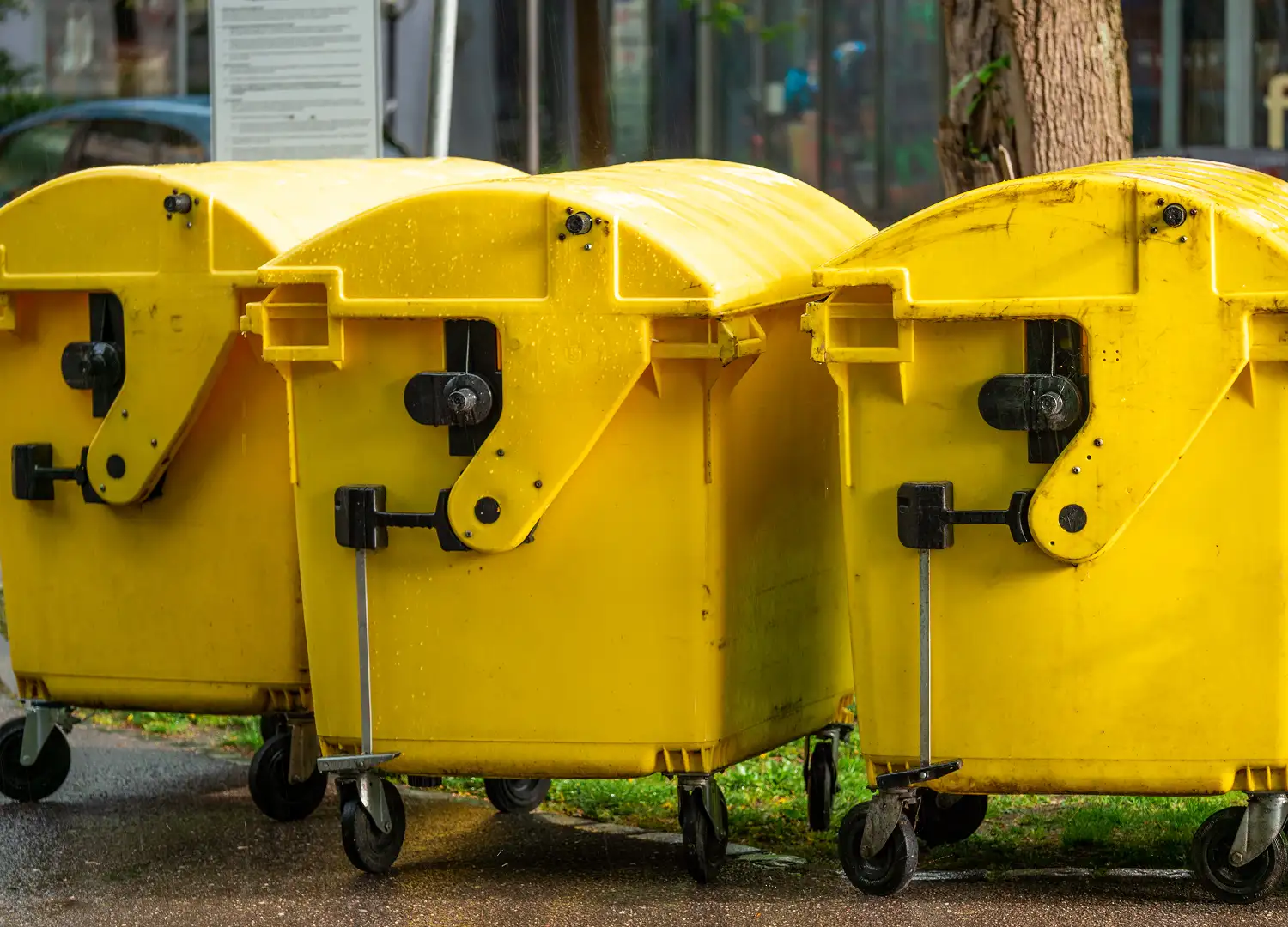 Waste Management